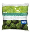 FLANDERS ESPINACA CONGELADA 450G