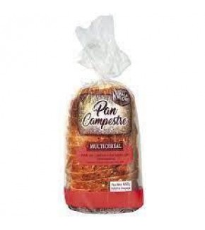 PAN CAMPESTRE MULTICEREAL 450G