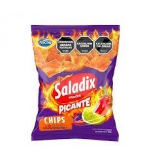 SALADIX PICANTE CHIPS 60G