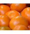 MANDARINA AVANA NIBO 1º