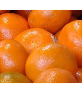 MANDARINA AVANA NIBO 1º MANDARINA AVANA NIBO 1º