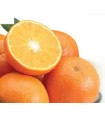 MANDARINA ELENDALE NIBO X KILO