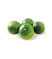 ZAPALLITO 1º X KILO