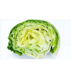 LECHUGA CAPUCCINA