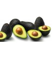 PALTA HASS